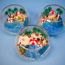 Beach Resin Terrarium Kit