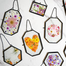 Framed Pressed Flowers Kit