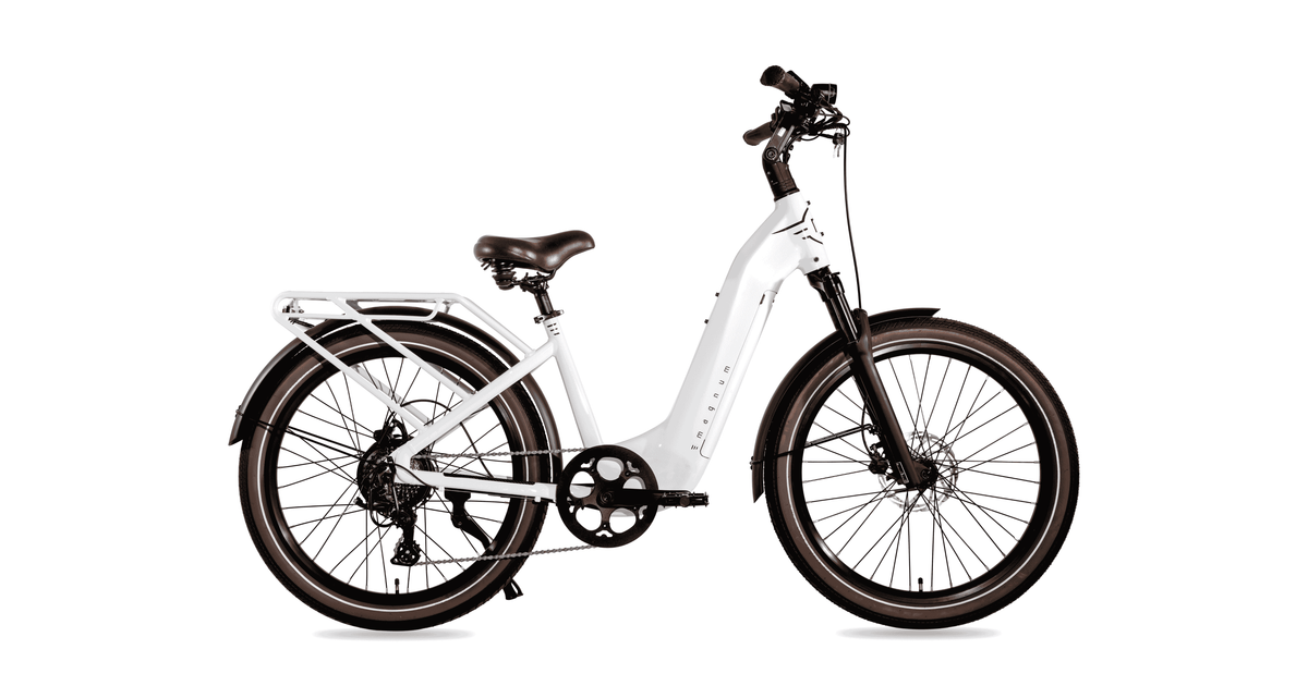 Magnum Melody Electric Bike, photo 3 of 4