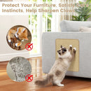12 Pieces Cat Scratcher Mat Set 16 x 12 Inch Natural Sisal Pads by LJGDeals
