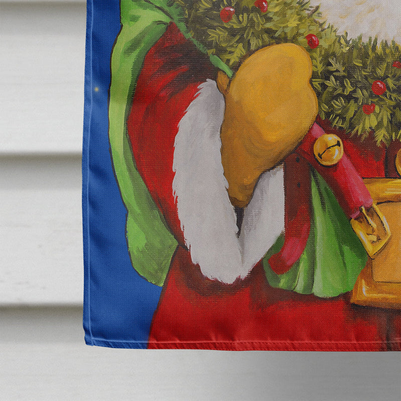 Santa Claus African Santa Flag Canvas House Size PJH3011CHF