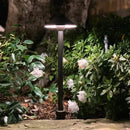 PLB02 Clear Lens Outdoor Garden Pathway Light | 12V Low Voltage Brass Path Light by Kings Outdoor Lighting