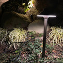 PLB02 Clear Lens Outdoor Garden Pathway Light | 12V Low Voltage Brass Path Light