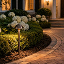 PLB08 Brass LED Globe 12V Low Voltage Pathway Outdoor Landscape Lighting Fixture