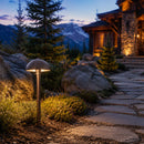 PLB08 Brass LED Globe 12V Low Voltage Pathway Outdoor Landscape Lighting Fixture
