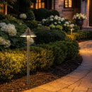 PLB09 Brass LED Cone Lamp Ready 12V Low Voltage Pathway Outdoor Landscape Lighting Fixture