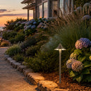 PLB09 Brass LED Cone Lamp Ready 12V Low Voltage Pathway Outdoor Landscape Lighting Fixture