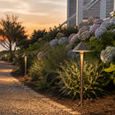 PLB11 Brass LED 12V Low Voltage Pathway Outdoor Lighting Landscape Fixture