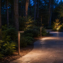 PLB14 Adjustable 3000K Warm White Integrated 3W LED Brass L-Shaped 12V Low Voltage Pathway Light