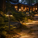 PLB18 Brass LED Mini Globe Lamp Ready 12V Low Voltage Pathway Outdoor Landscape Lighting Fixture