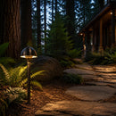 PLB18 Brass LED Mini Globe Lamp Ready 12V Low Voltage Pathway Outdoor Landscape Lighting Fixture