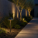PLB19 Brass LED 12V Low Voltage Pathway Outdoor Lighting Landscape Fixture