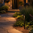 PLB20 Cast Brass Square Top LED 12V Low Voltage Pathway Outdoor Lighting Landscape Fixture