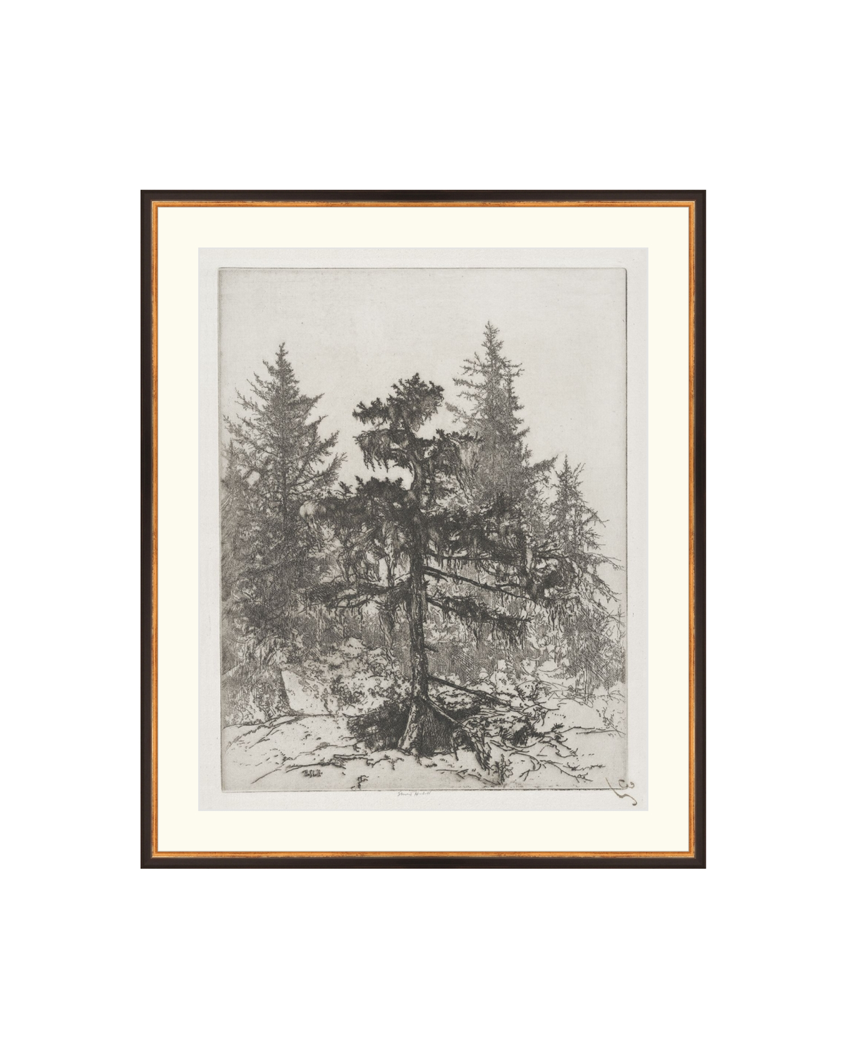 Pine Etching, photo 10 of 38
