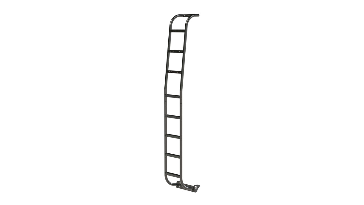 Promaster High Roof Side Ladder, photo 2 of 6
