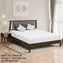 Acacia Kaylin Bed Frame & Nightstand Set for a Stylish Bedroom
