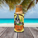 Boston Terrier Halloweenies  Hugger for slim cans PPP3033MUK