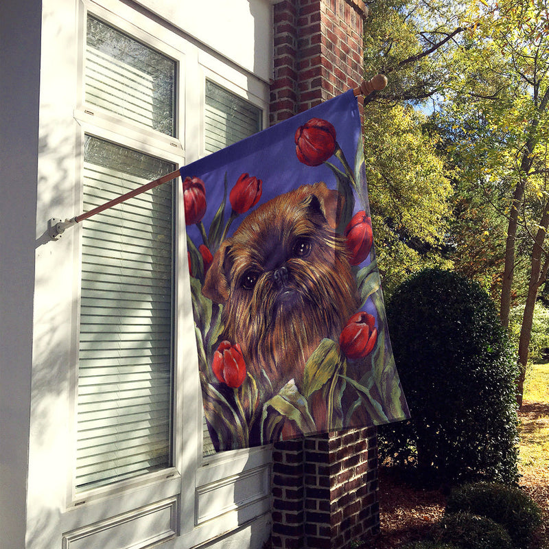 Brussels Griffon Peek a Boo Flag Canvas House Size PPP3041CHF