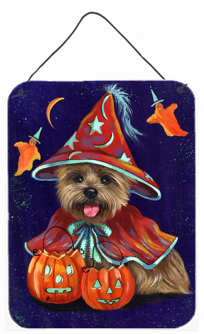 Cairn Terrier Halloween Witch Wall or Door Hanging Prints PPP3061DS1216