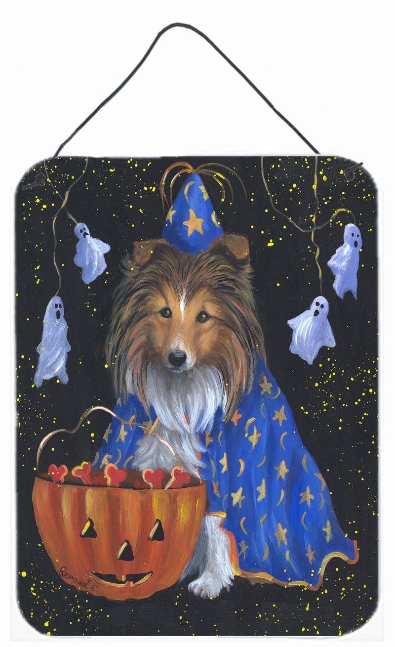 Sheltie Halloween Witch Wall or Door Hanging Prints PPP3186DS1216