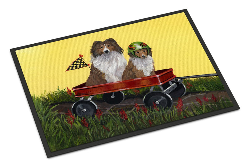 Sheltie Sheepdog Express Doormat - 24x36 Decorative Floor Mat – Indoor/Outdoor Rug with Artistic Flair PPP3272JMAT