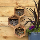 Wild Bee Discovery Cabana House & Pollinator Pack