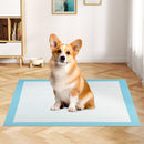 150 pieces 30 x 30 Inch Pet Wee Pee Piddle Pad
