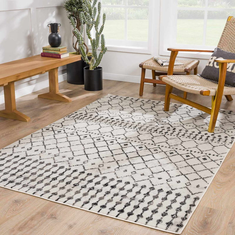 Cowplain Scandi Trellis Area Carpet