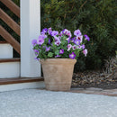 Lifelike Petunia Urn Filler