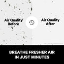 PuroAir 240 HEPA Air Purifier by PuroAir - Breathe Cleaner Air