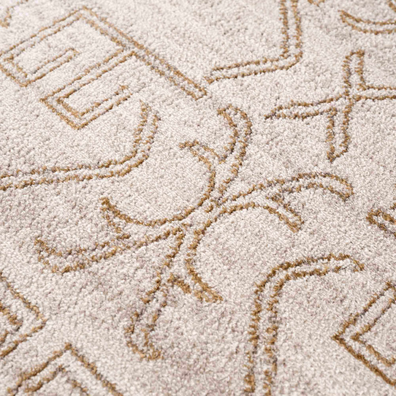 Divya Cream & Gold Area Rug - Clearance