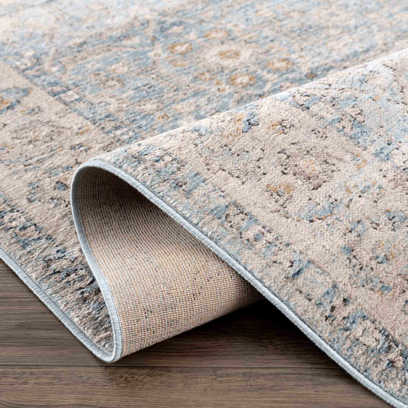 Anana Silver Blue & Beige Area Rug