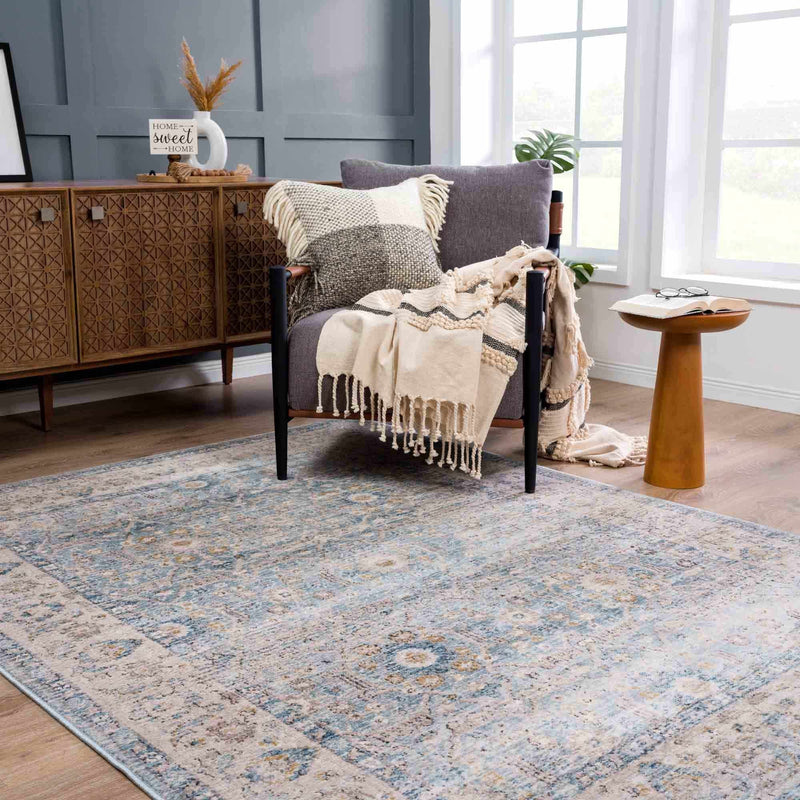 Anana Silver Blue & Beige Area Rug