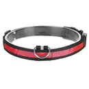 LED Dog Collar: Safety Light for Night Walks