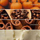 Pumpkin Spice Amber Reed Diffuser by Sweet Water Decor