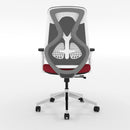 Ergonomic Plus Chair | Posture-Correcting Office Chair