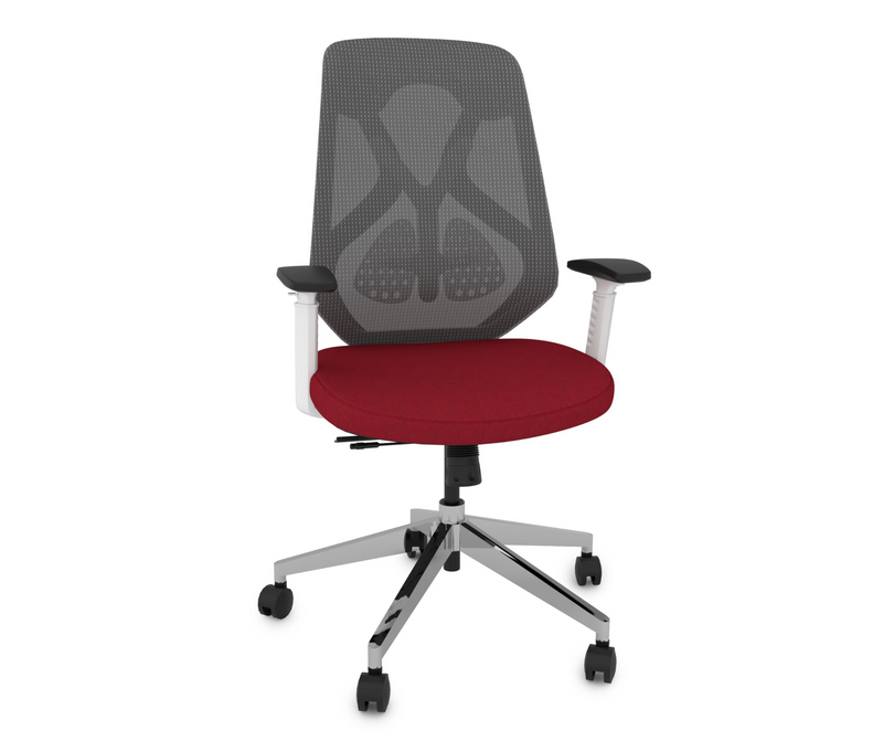 Ergonomic Plus Chair | Posture-Correcting Office Chair
