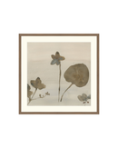 Botanical Thoughts III