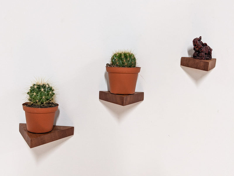 Small Triangle Display Shelf in Oak