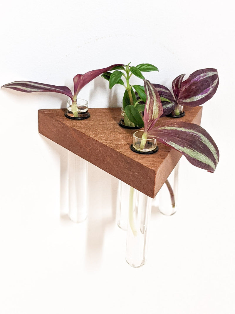 Triangle Propagation Station Shelf for Plant Cuttings