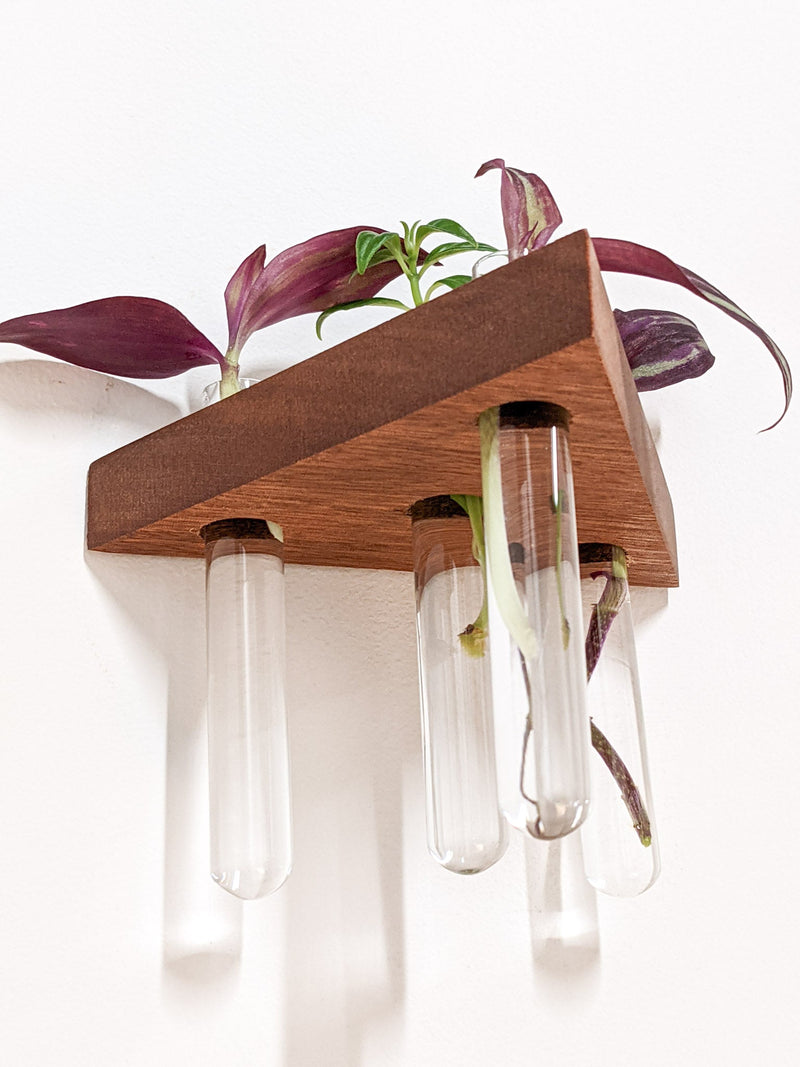 Triangle Propagation Station Shelf for Plant Cuttings