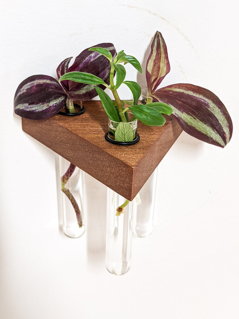 Triangle Propagation Station Shelf for Plant Cuttings