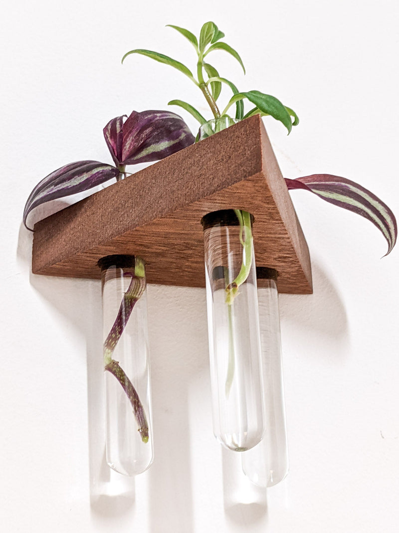 Triangle Propagation Station Shelf for Plant Cuttings