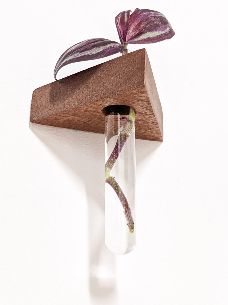 Triangle Propagation Station Shelf for Plant Cuttings