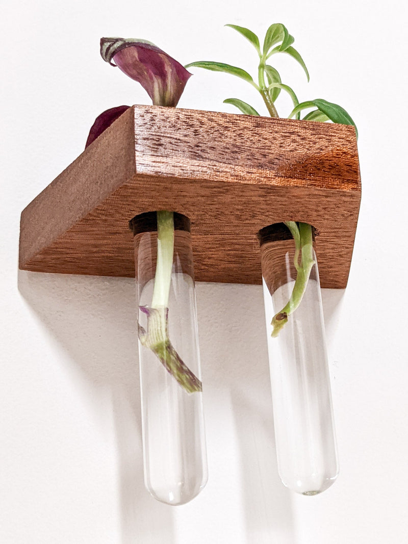 Trapezoid Propagation Station Shelf for Plant Cuttings