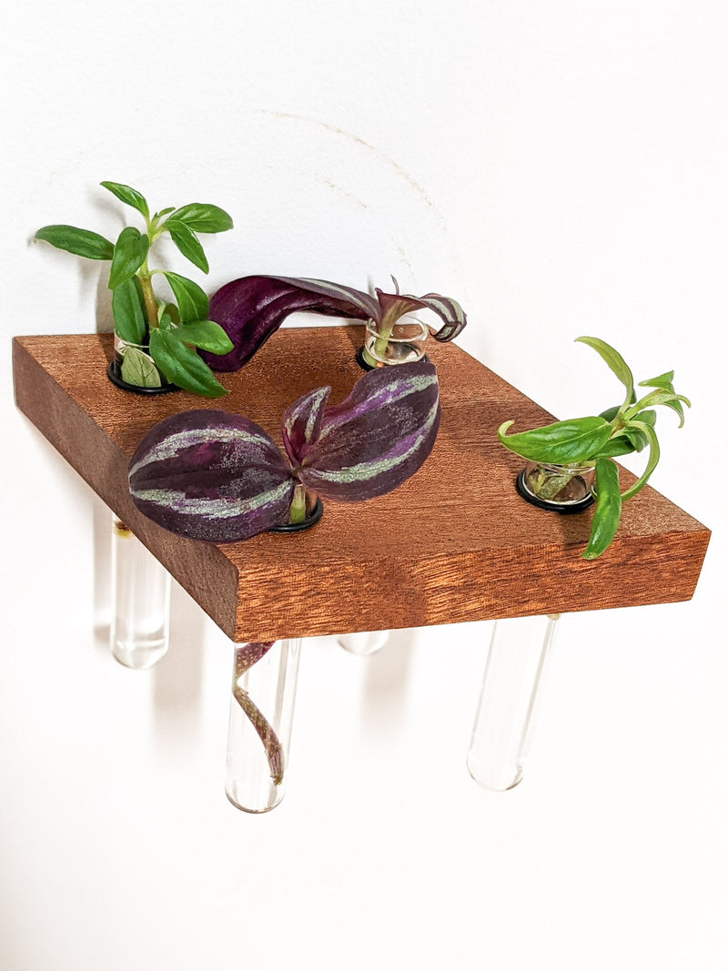 Rhombus Propagation Station Shelf for Plant Cuttings