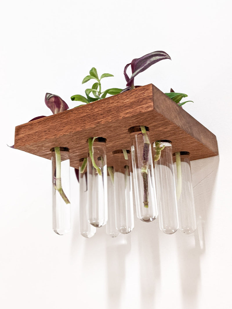 Square Propagation Station Shelf for Plant Cuttings