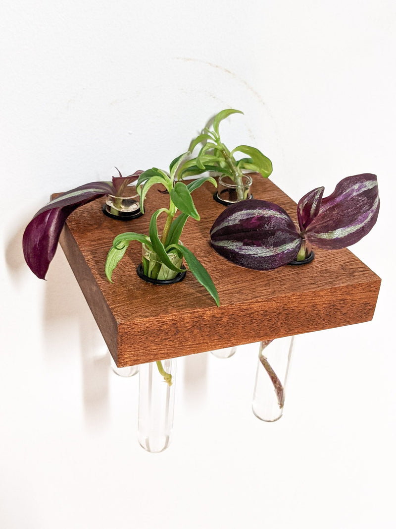 Square Propagation Station Shelf for Plant Cuttings