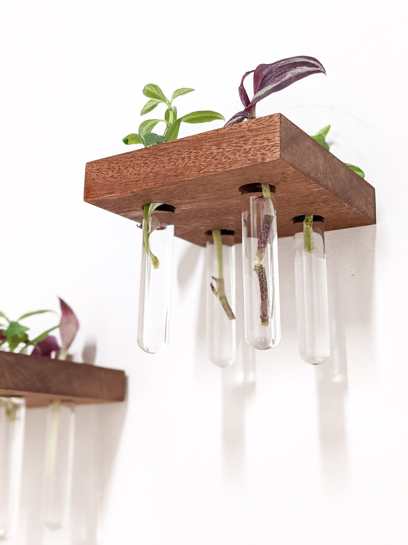 Square Propagation Station Shelf for Plant Cuttings