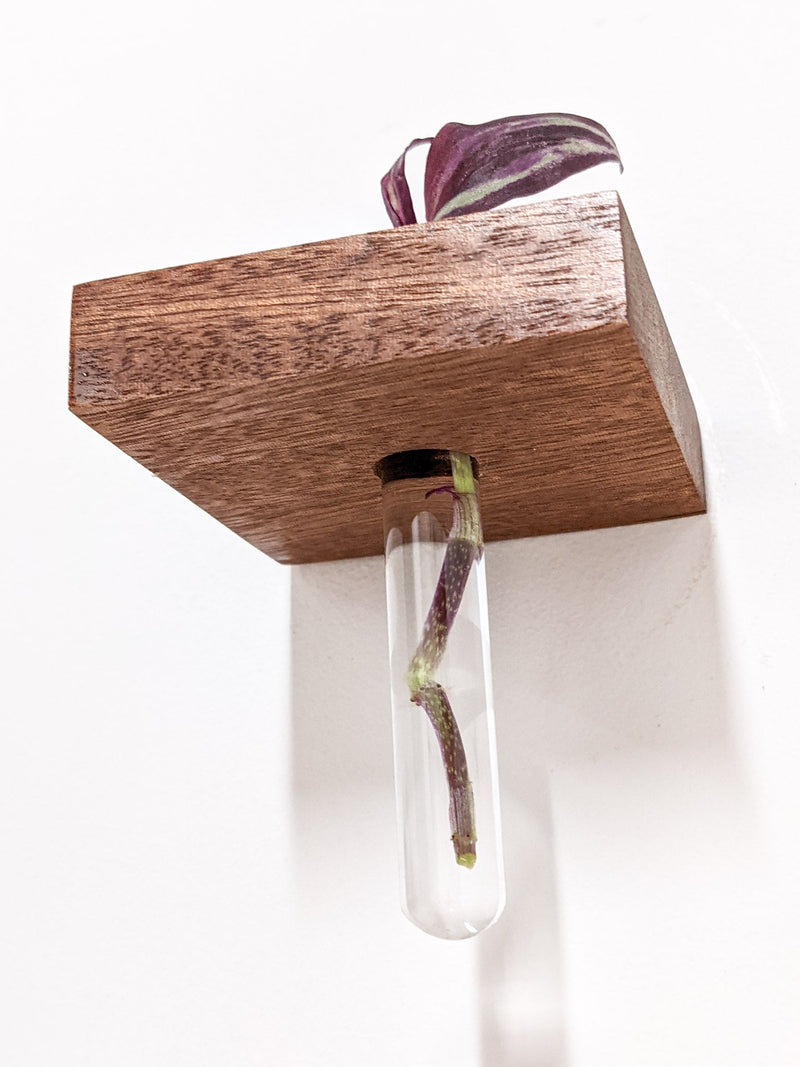 Square Propagation Station Shelf for Plant Cuttings